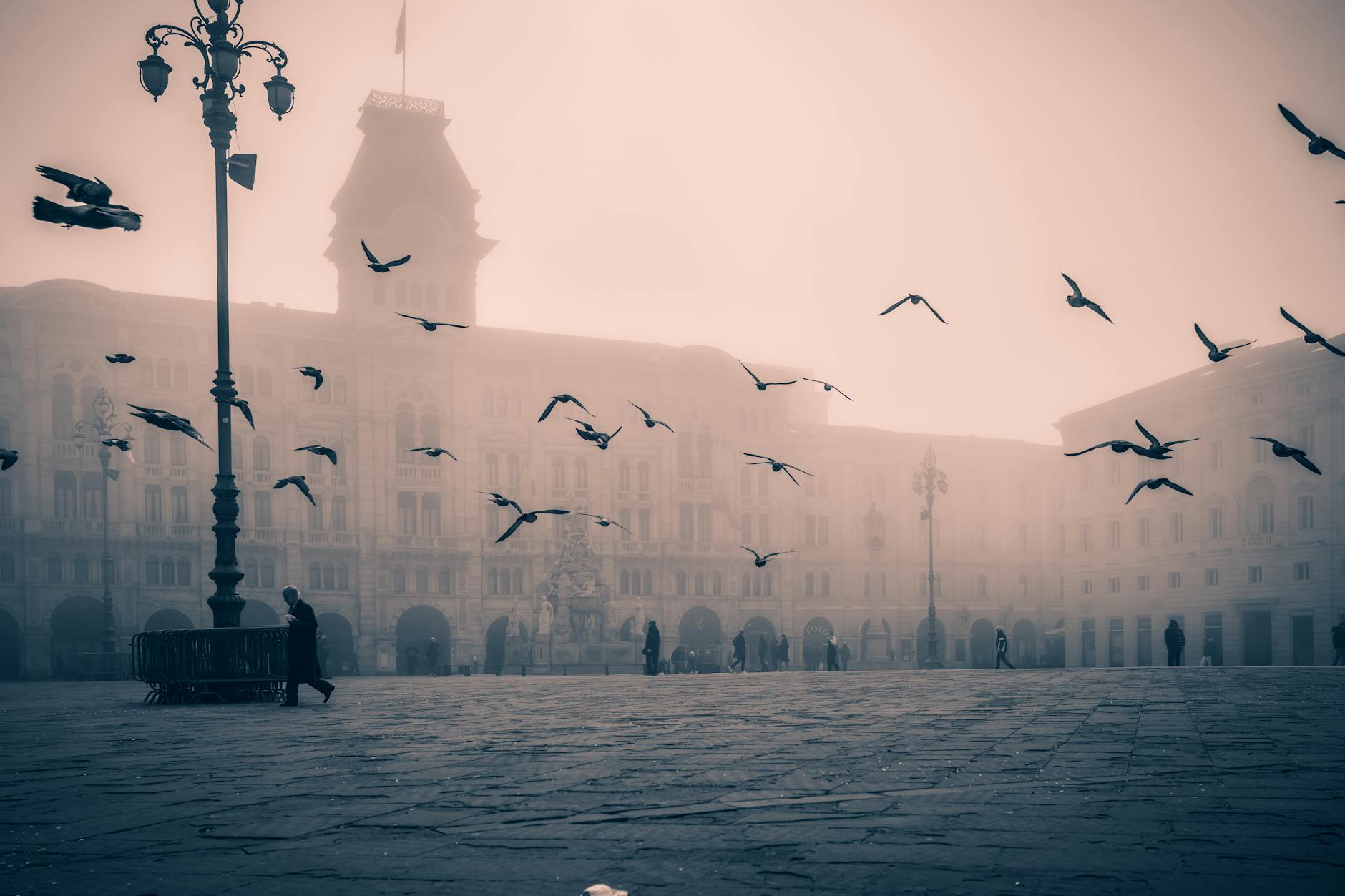 birds over misty town square